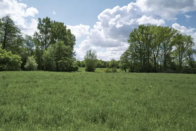 LocationRobot - Film Location Einfamilienhaus LR3195 (photo 33)