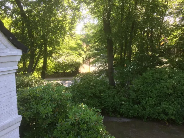 LocationRobot - Film Location Villa LR3247 (photo 28)