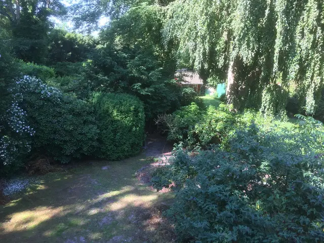 LocationRobot - Film Location Villa LR3247 (photo 25)