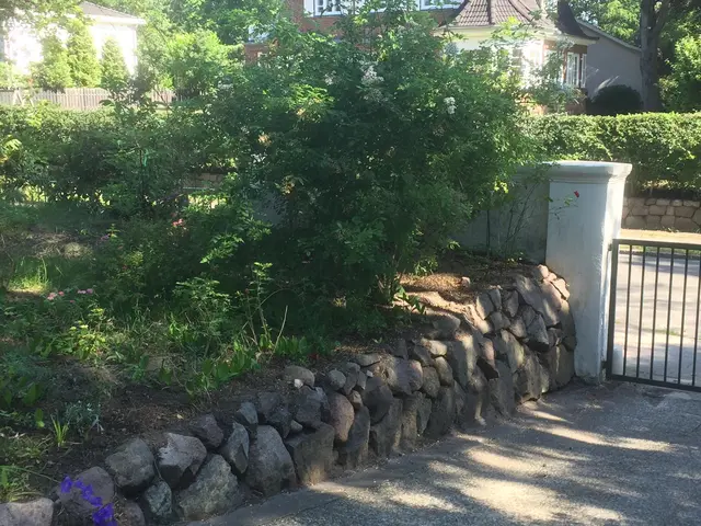LocationRobot - Film Location Villa LR3247 (photo 23)