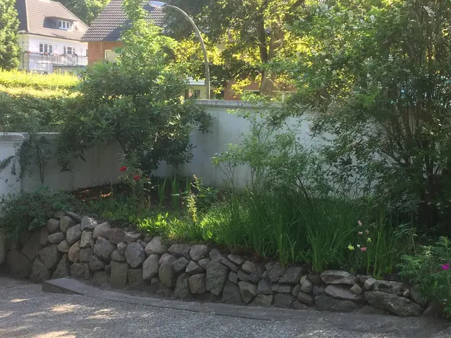 LocationRobot - Film Location Villa LR3247 (photo 30)