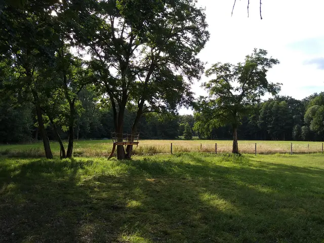 LocationRobot - Film Location Haus LR3299 (photo 27)