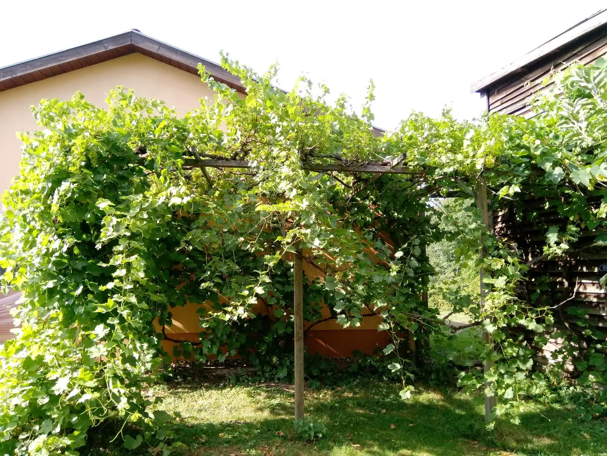 LocationRobot - Film Location Haus LR3338 (photo 12)