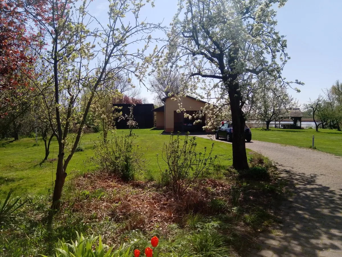 LocationRobot - Film Location Haus LR3338 (photo 18)