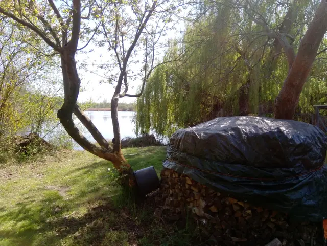 LocationRobot - Film Location Haus LR3338 (photo 30)