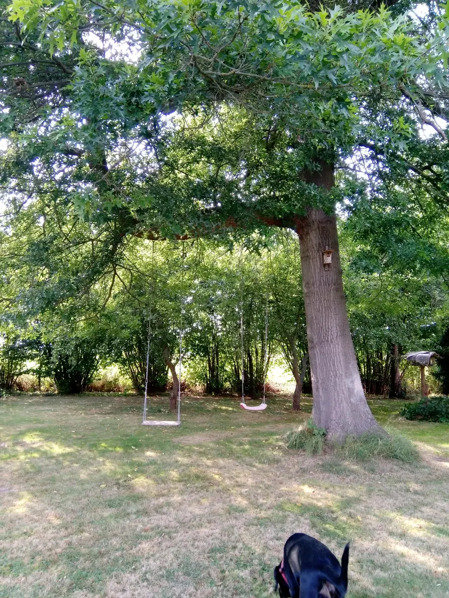 LocationRobot - Film Location Haus LR3338 (photo 35)