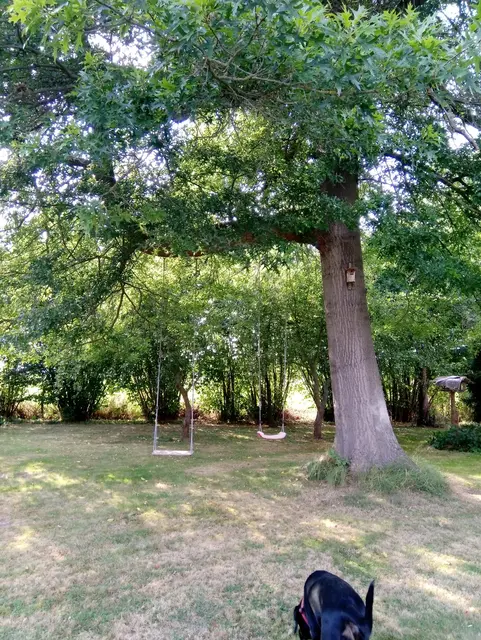 LocationRobot - Film Location Haus LR3338 (photo 35)