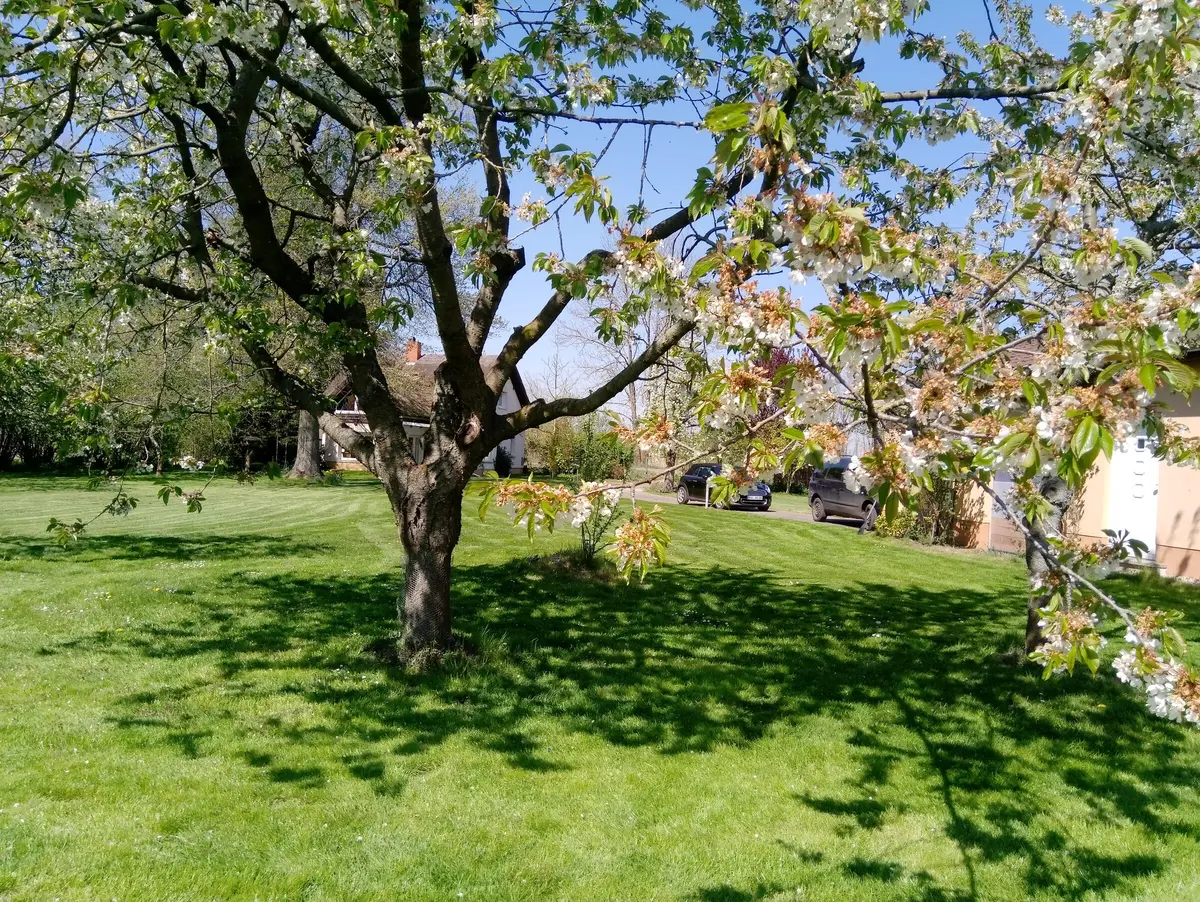 LocationRobot - Film Location Haus LR3338 (photo 19)