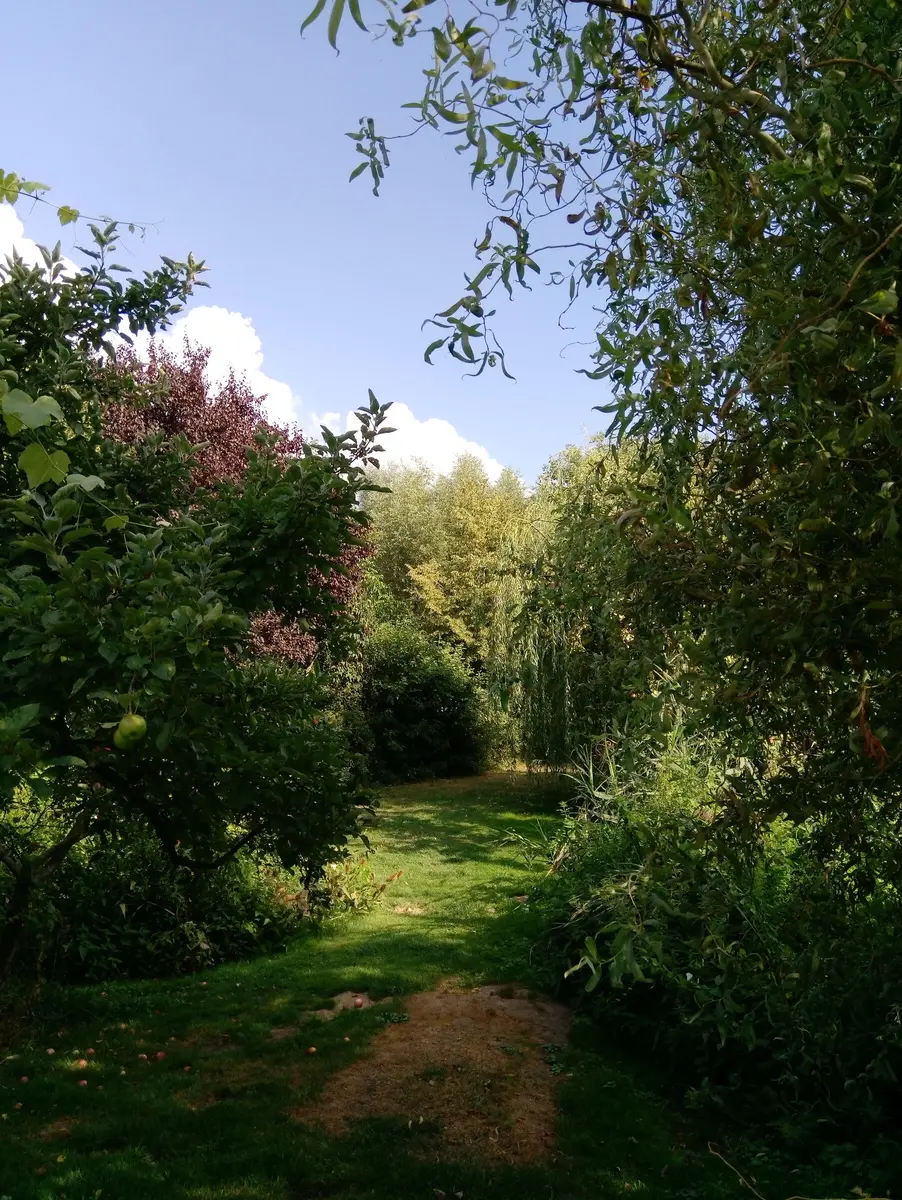 LocationRobot - Film Location Haus LR3338 (photo 32)