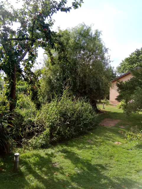 LocationRobot - Film Location Haus LR3338 (photo 33)