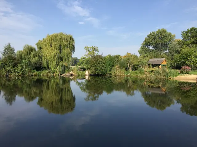 LocationRobot - Film Location Haus LR3338 (photo 25)