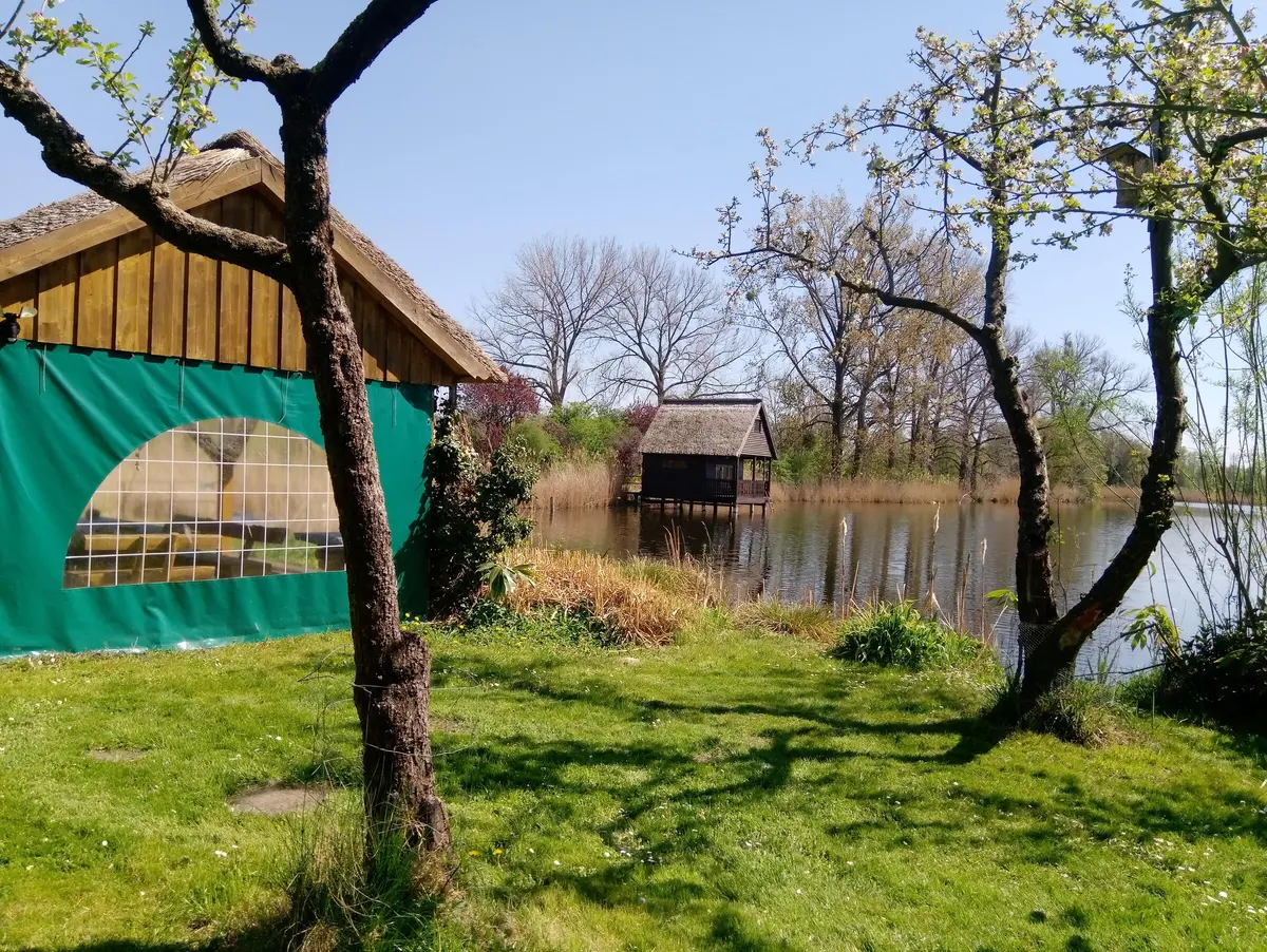 LocationRobot - Film Location Haus LR3338 (photo 21)