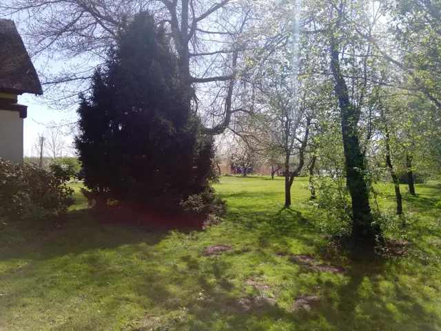 LocationRobot - Film Location Haus LR3338 (photo 14)