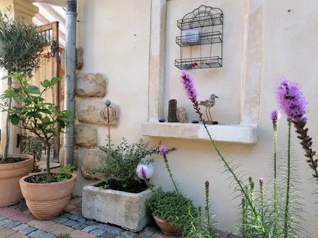 LocationRobot - Film Location Einfamilienhaus LR3364 (photo 39)