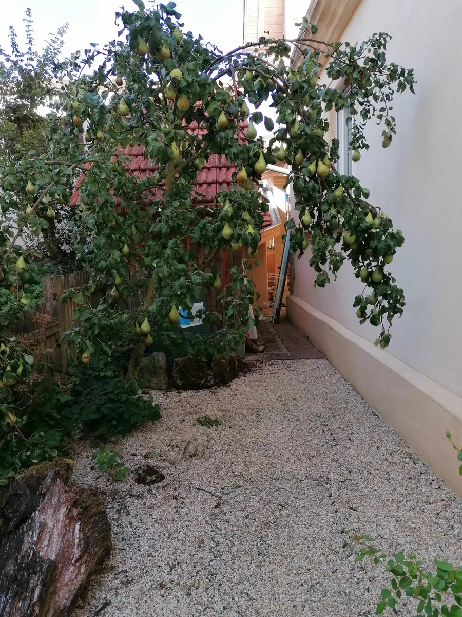 LocationRobot - Film Location Einfamilienhaus LR3364 (photo 45)