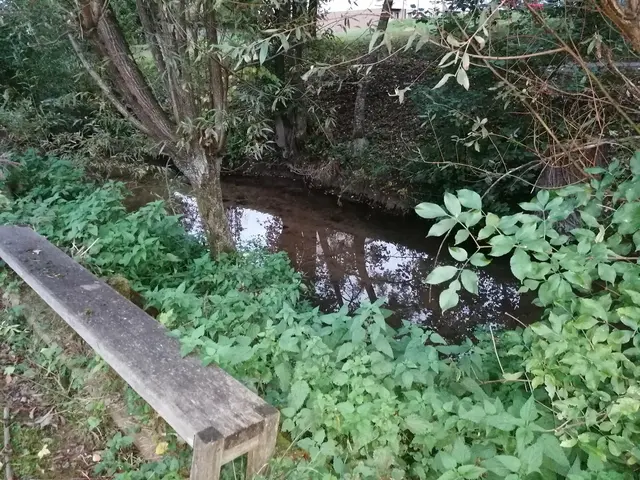 LocationRobot - Film Location Einfamilienhaus LR3364 (photo 43)