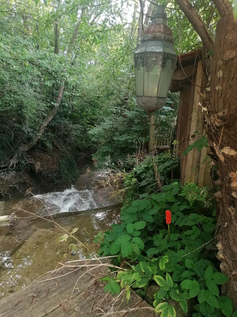 LocationRobot - Film Location Einfamilienhaus LR3364 (photo 42)