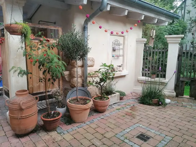 LocationRobot - Film Location Einfamilienhaus LR3364 (photo 10)