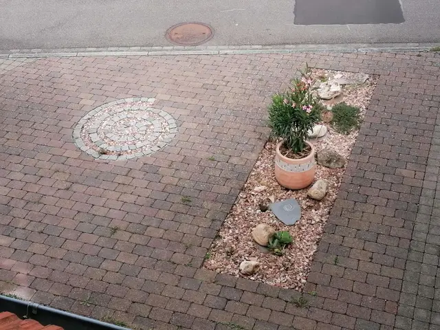 LocationRobot - Film Location Einfamilienhaus LR3364 (photo 8)