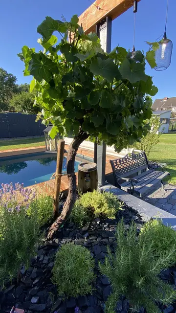 LocationRobot - Film Location Einfamilienhaus LR3548 (photo 38)