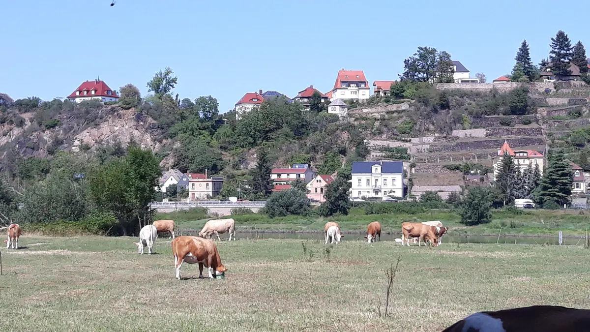 LocationRobot - Film Location Villa LR3554 (photo 31)