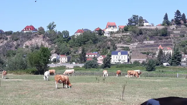 LocationRobot - Film Location Villa LR3554 (photo 31)