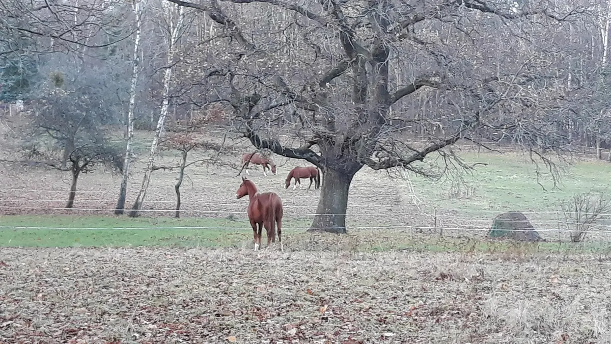 LocationRobot - Film Location Villa LR3554 (photo 30)