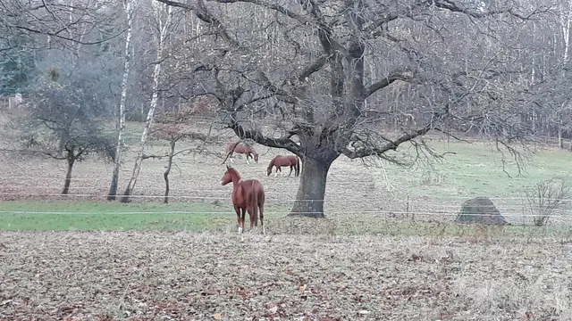 LocationRobot - Film Location Villa LR3554 (photo 30)