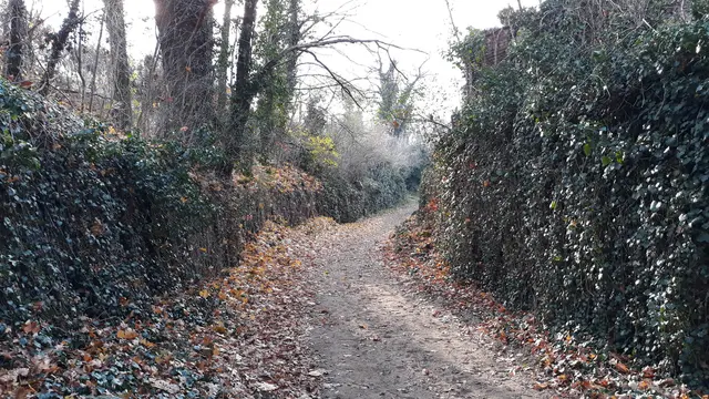 LocationRobot - Film Location Villa LR3554 (photo 29)