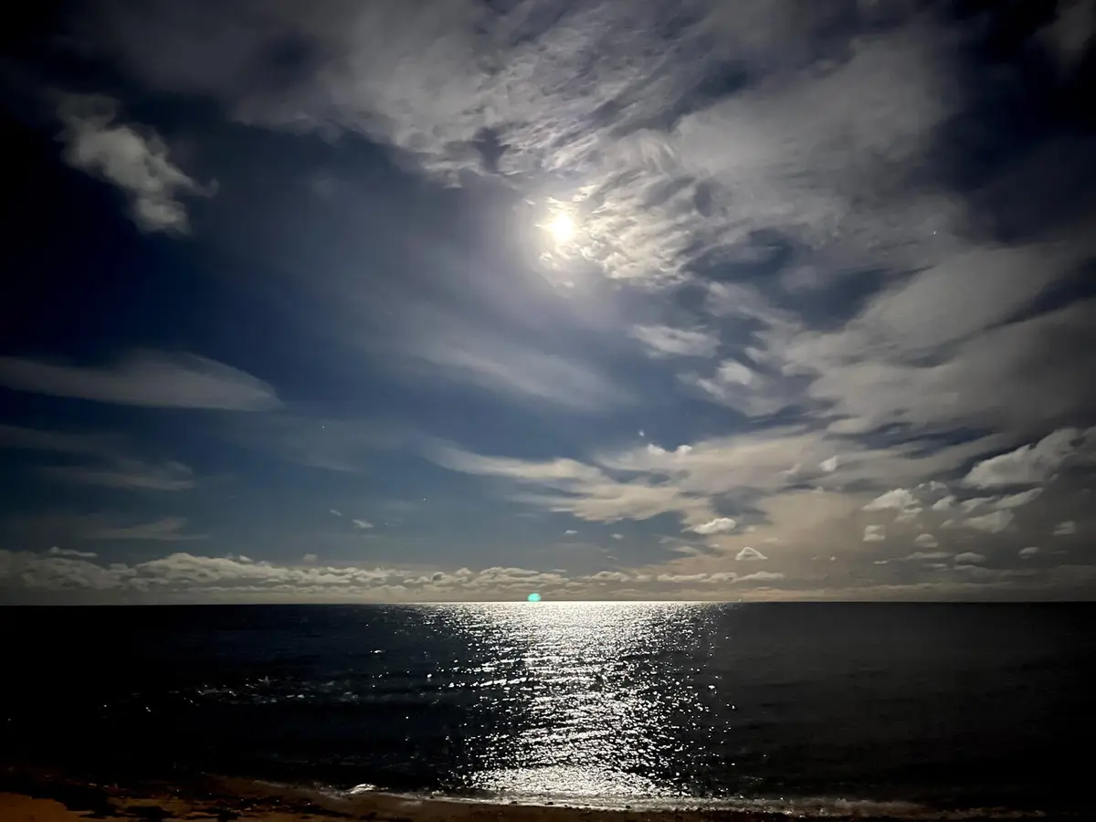 LocationRobot - Film Location Haus LR3636 (photo 19)