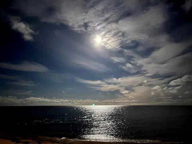 LocationRobot - Film Location Haus LR3636 (photo 19)