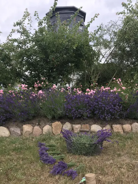 LocationRobot - Film Location Mühle LR3641 (photo 21)