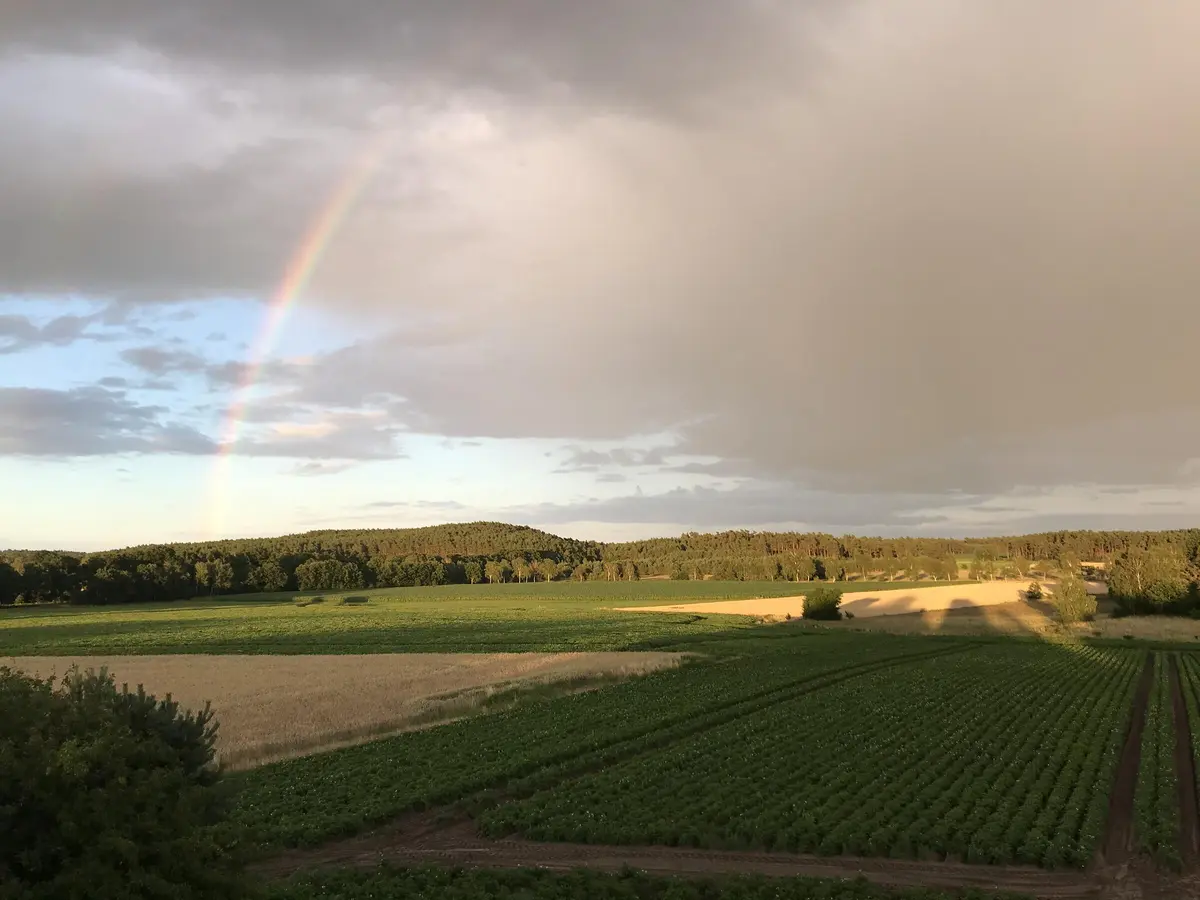 LocationRobot - Film Location Mühle LR3641 (photo 28)