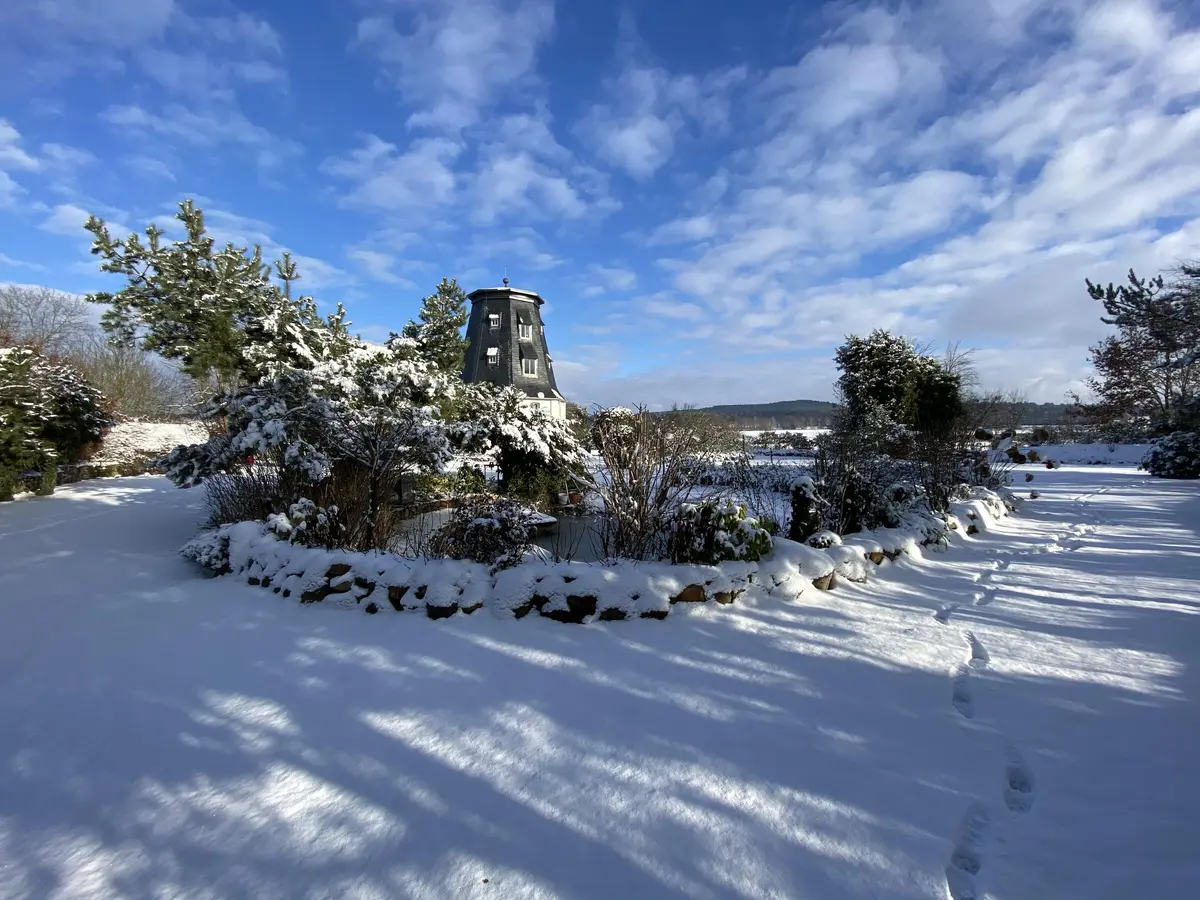 LocationRobot - Film Location Mühle LR3641 (photo 25)