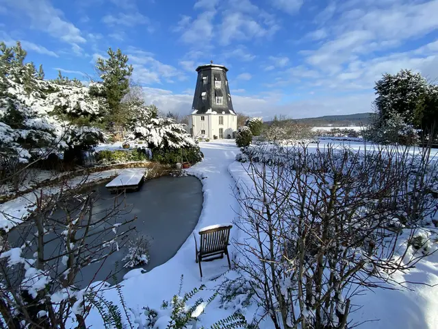 LocationRobot - Film Location Mühle LR3641 (photo 24)