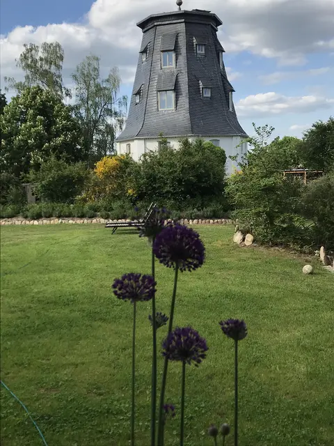 LocationRobot - Film Location Mühle LR3641 (photo 20)