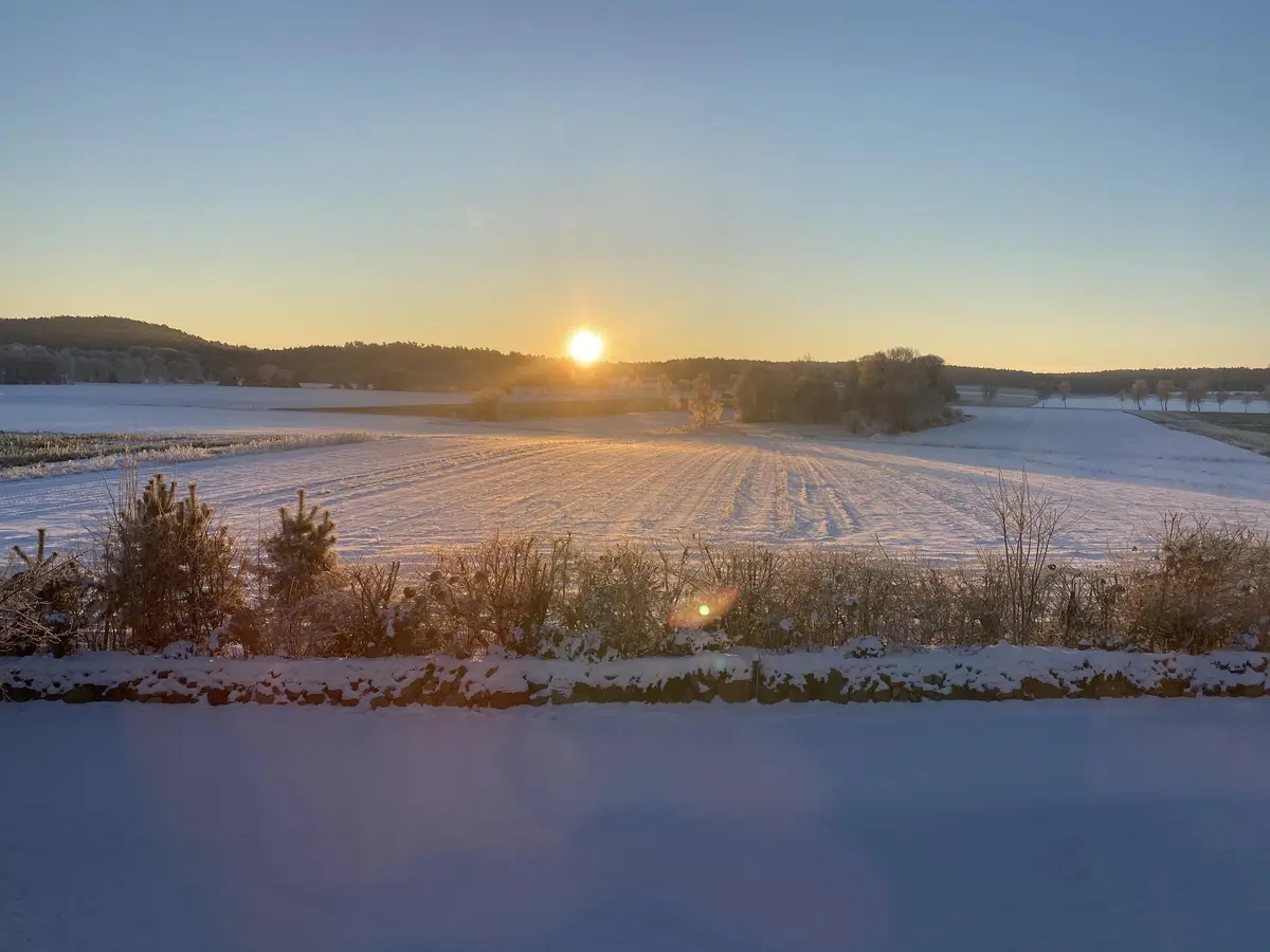 LocationRobot - Film Location Mühle LR3641 (photo 27)