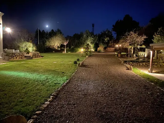 LocationRobot - Film Location Mühle LR3641 (photo 18)