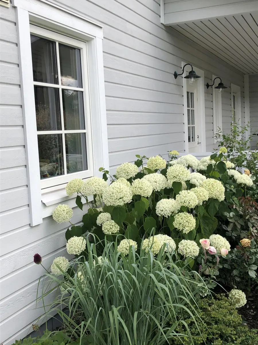 LocationRobot - Film Location Haus LR3671 (photo 24)