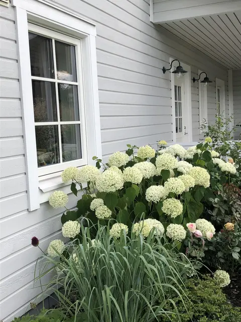 LocationRobot - Film Location Haus LR3671 (photo 24)