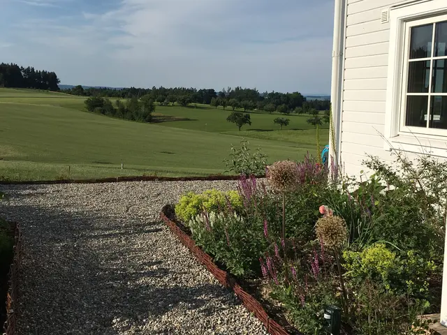 LocationRobot - Film Location Haus LR3671 (photo 25)