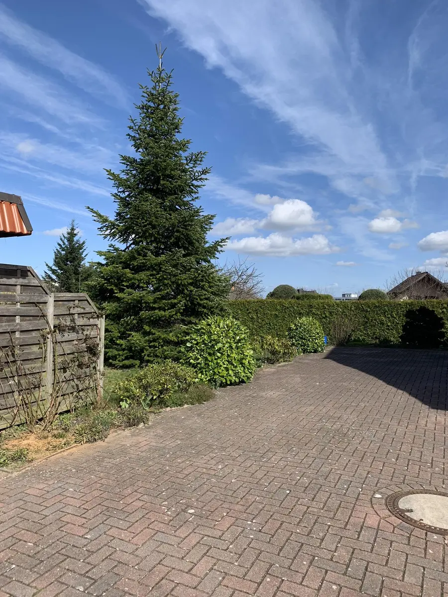 LocationRobot - Film Location Einfamilienhaus LR3729 (photo 40)