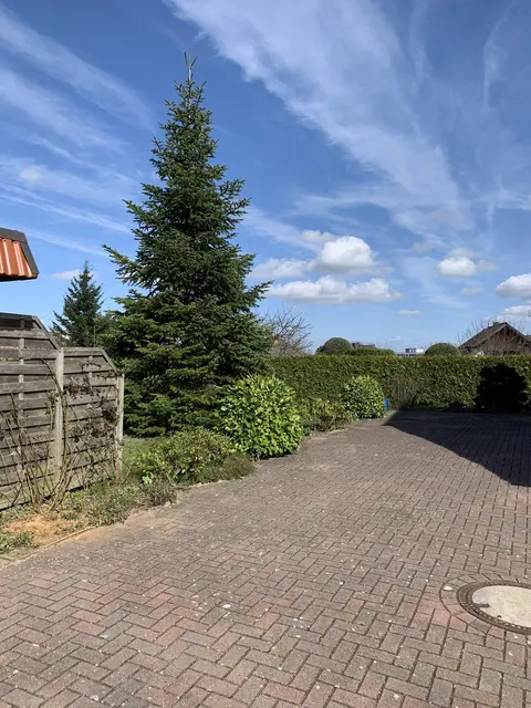 LocationRobot - Film Location Einfamilienhaus LR3729 (photo 40)