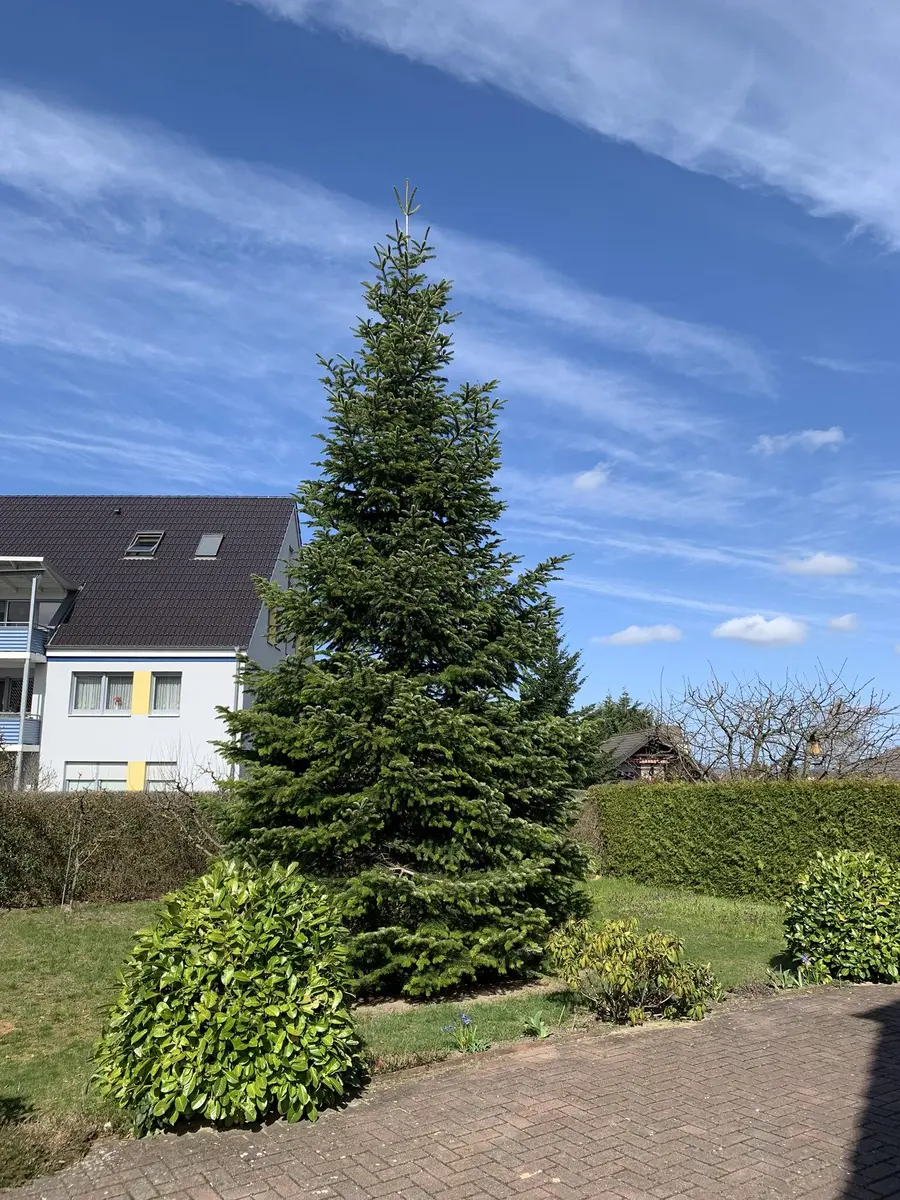 LocationRobot - Film Location Einfamilienhaus LR3729 (photo 44)