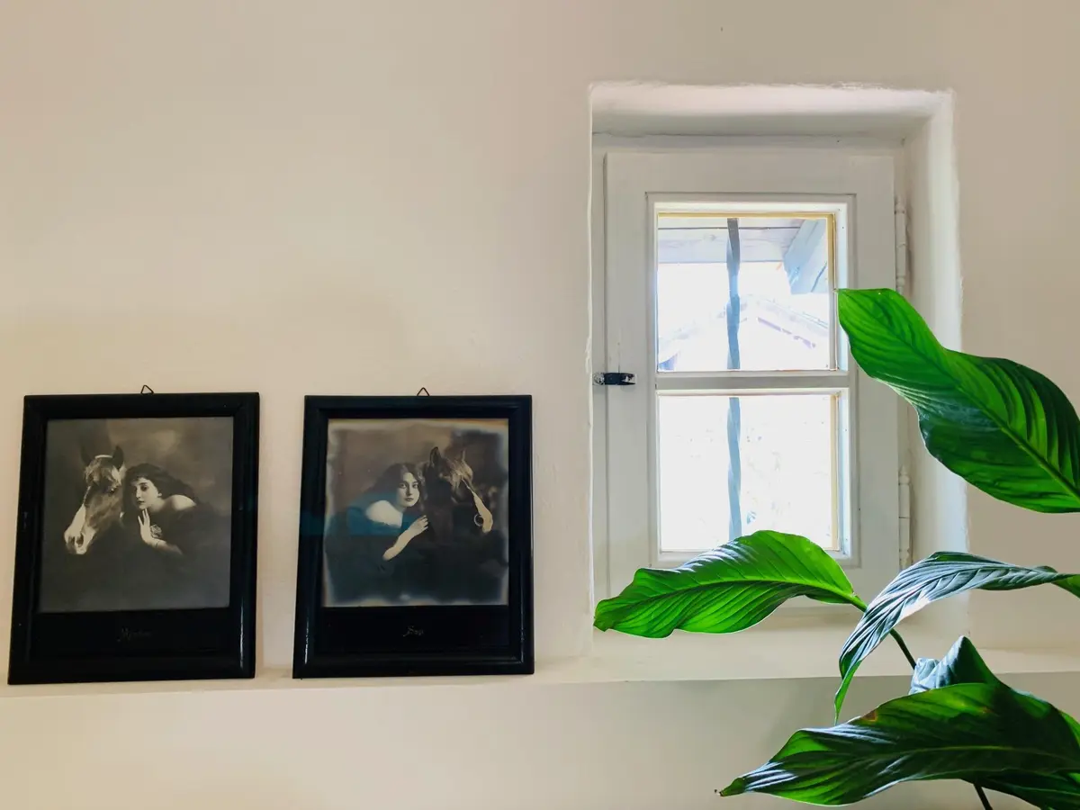 LocationRobot - Film Location Bauernhaus LR3732 (photo 37)