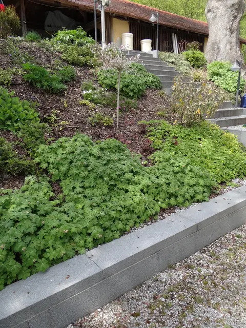 LocationRobot - Film Location Haus LR3763 (photo 46)