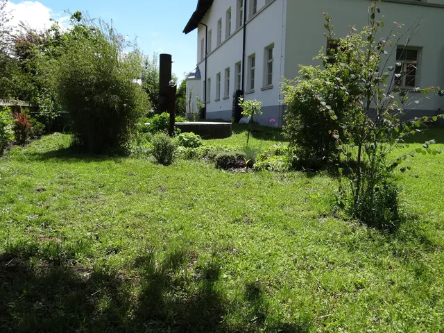 LocationRobot - Film Location Haus LR3763 (photo 41)