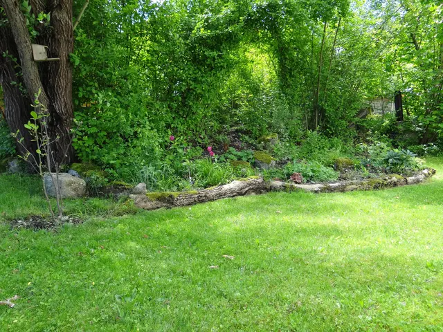 LocationRobot - Film Location Haus LR3763 (photo 37)