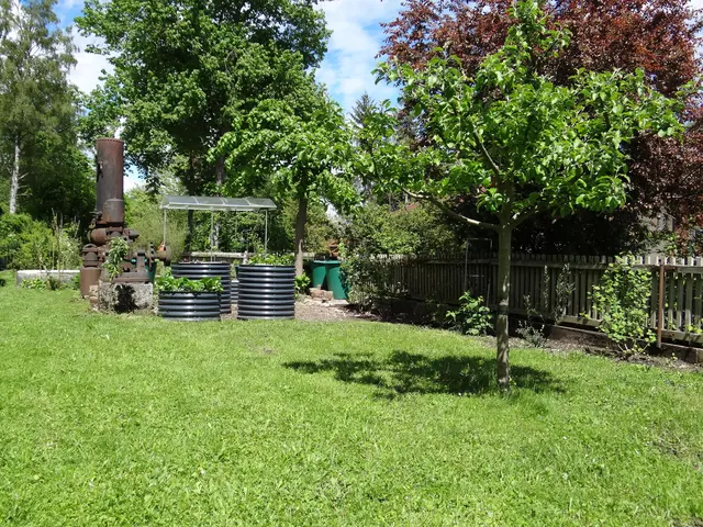 LocationRobot - Film Location Haus LR3763 (photo 42)