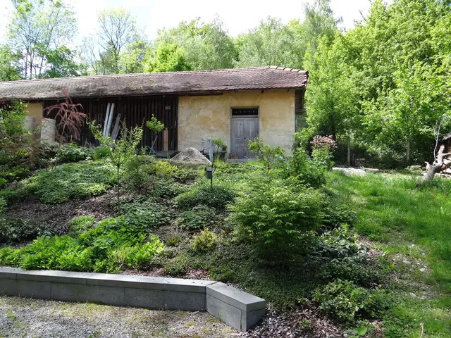 LocationRobot - Film Location Haus LR3763 (photo 38)